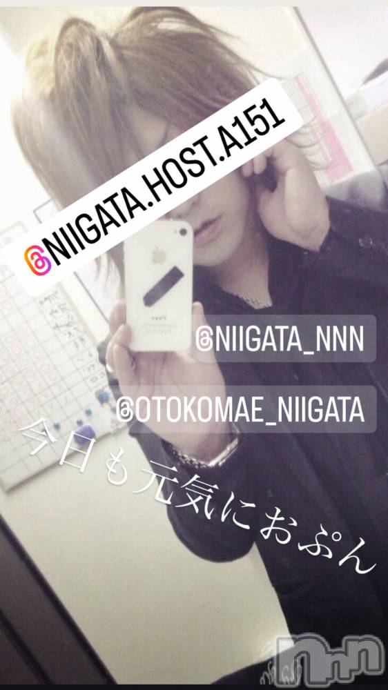 ��Į�ۥ��ȡ��ܡ������С�A151(�����������ݥ���) �褦��3��7���̥�֥�������������