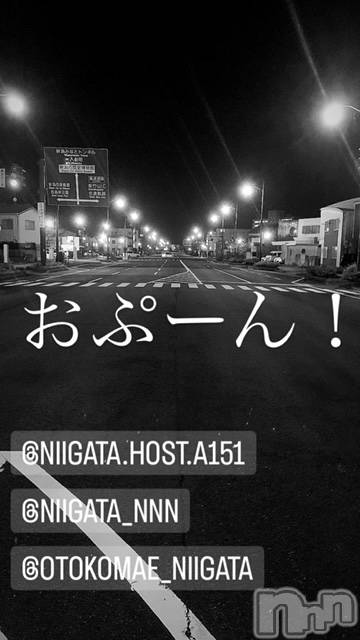 ��Į�ۥ��ȡ��ܡ������С�A151(�����������ݥ���) �褦��3��13���̥�֥����ֿ�������