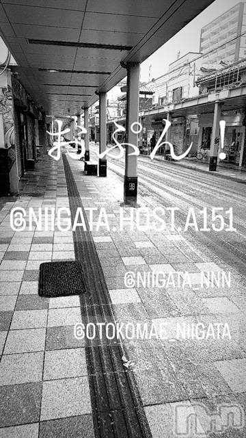 ��Į�ۥ��ȡ��ܡ������С�A151(�����������ݥ���) �褦��3��14���̥�֥�������������