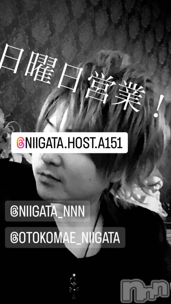 ��Į�ۥ��ȡ��ܡ������С�A151(�����������ݥ���) �褦��3��17���̥�֥�������������