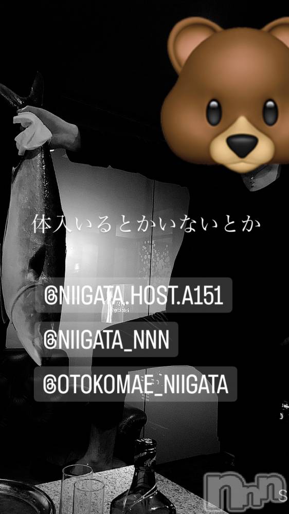 ��Į�ۥ��ȡ��ܡ������С�A151(�����������ݥ���) �褦��3��22���̥�֥����ֶ�������