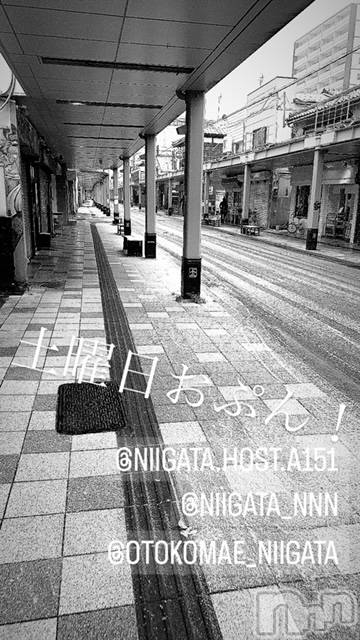 ��Į�ۥ��ȡ��ܡ������С�A151(�����������ݥ���) �褦��3��23���̥�֥�������������