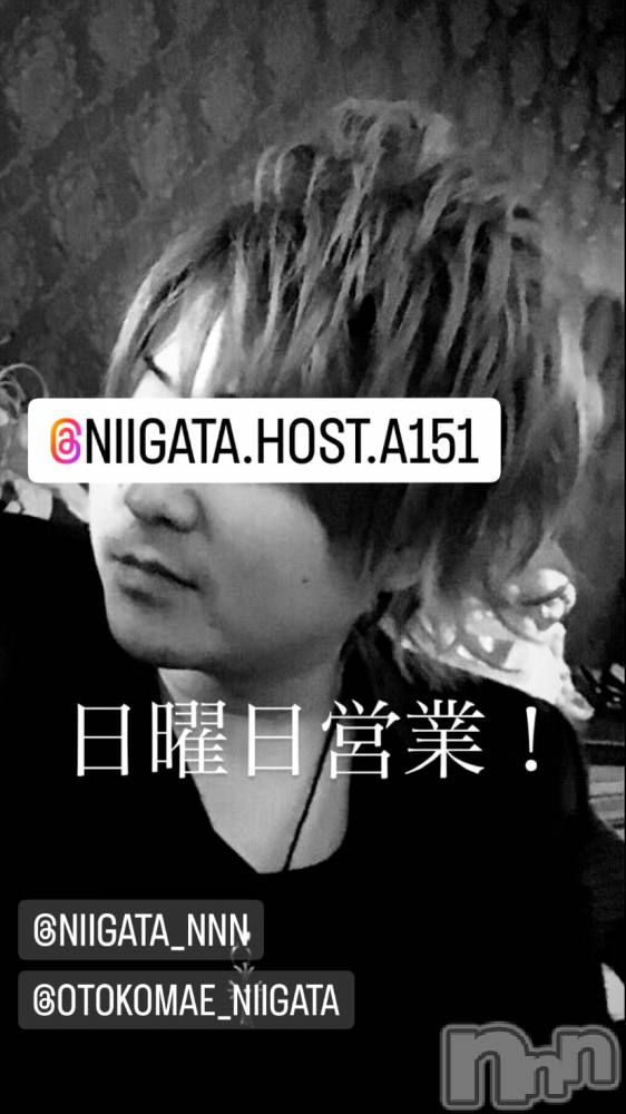 ��Į�ۥ��ȡ��ܡ������С�A151(�����������ݥ���) �褦��3��24���̥�֥�������������