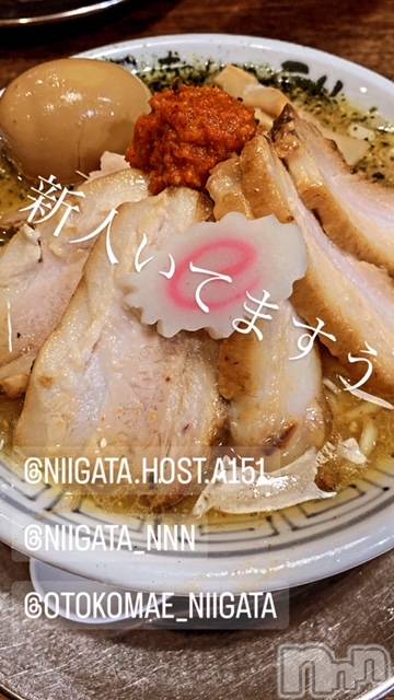 ��Į�ۥ��ȡ��ܡ������С�A151(�����������ݥ���) �褦��3��29���̥�֥����ֶ�������