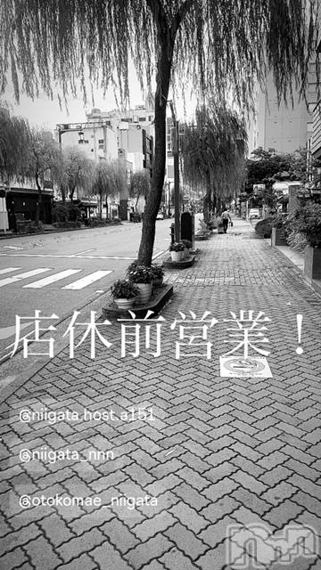 ��Į�ۥ��ȡ��ܡ������С�A151(�����������ݥ���) �褦��4��8���̥�֥����ַ�������