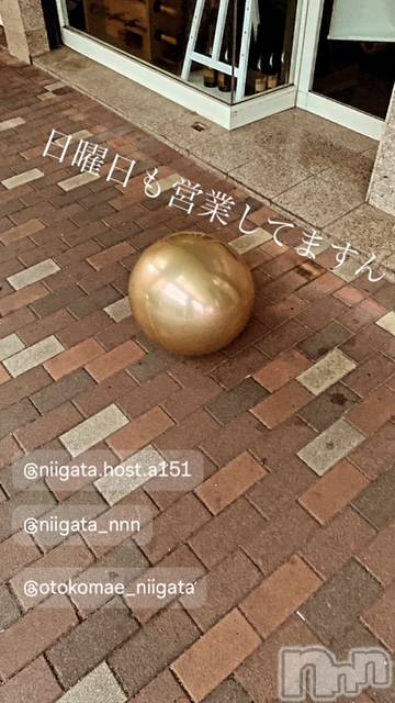 ��Į�ۥ��ȡ��ܡ������С�A151(�����������ݥ���) �褦��4��14���̥�֥�������������