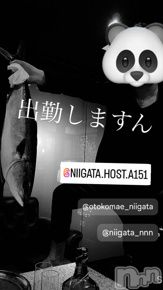 ��Į�ۥ��ȡ��ܡ������С�A151(�����������ݥ���) �褦��4��17���̥�֥����ֿ�������