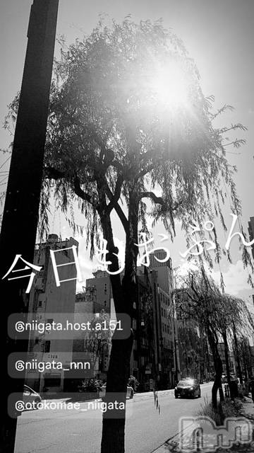 ��Į�ۥ��ȡ��ܡ������С�A151(�����������ݥ���) �褦��4��18���̥�֥�������������