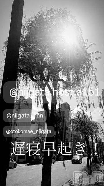 ��Į�ۥ��ȡ��ܡ������С�A151(�����������ݥ���) �褦��4��19���̥�֥����ֶ�������