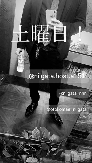 ��Į�ۥ��ȡ��ܡ������С�A151(�����������ݥ���) �褦��4��20���̥�֥�������������