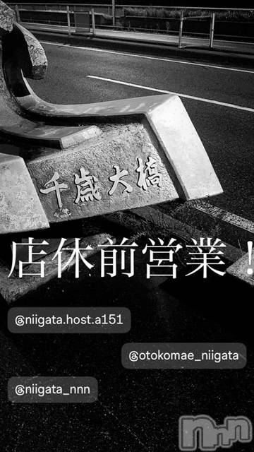 ��Į�ۥ��ȡ��ܡ������С�A151(�����������ݥ���) �褦��4��22���̥�֥����ַ�������