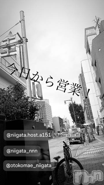 ��Į�ۥ��ȡ��ܡ������С�A151(�����������ݥ���) �褦��5��8���̥�֥����ֿ�������