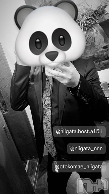 ��Į�ۥ��ȡ��ܡ������С�A151(�����������ݥ���) �褦��5��10���̥�֥����ֶ�������