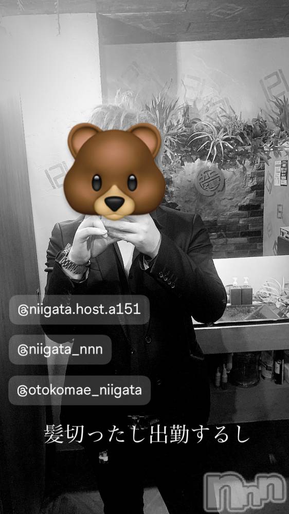 ��Į�ۥ��ȡ��ܡ������С�A151(�����������ݥ���) �褦��6��6���̥�֥�������������