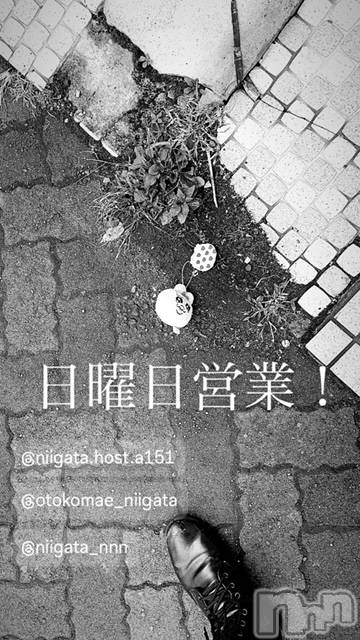 ��Į�ۥ��ȡ��ܡ������С�A151(�����������ݥ���) �褦��6��9���̥�֥�������������