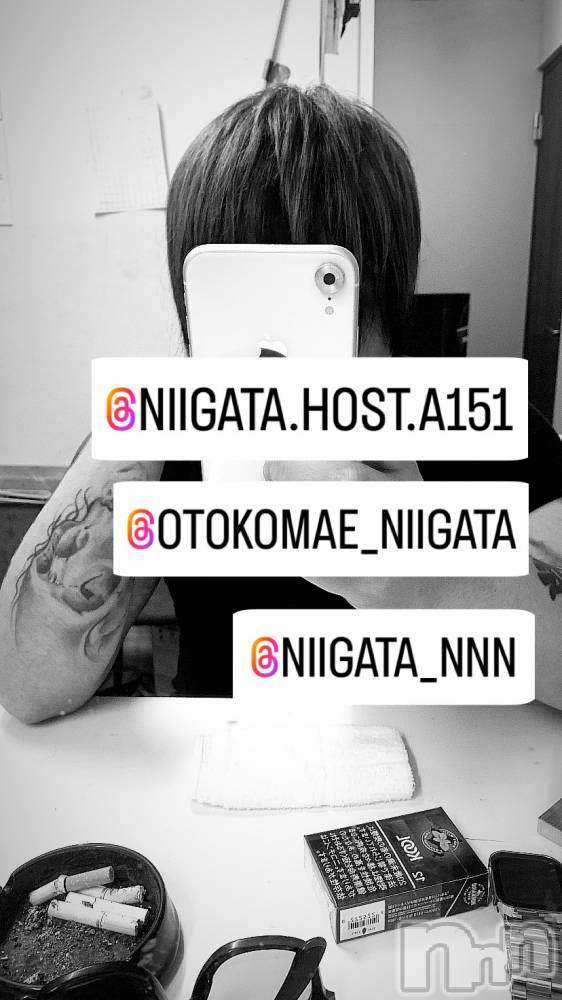 ��Į�ۥ��ȡ��ܡ������С�A151(�����������ݥ���) �褦��6��12���̥�֥����ֿ�������