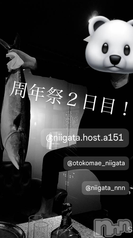 ��Į�ۥ��ȡ��ܡ������С�A151(�����������ݥ���) �褦��6��15���̥�֥�������������