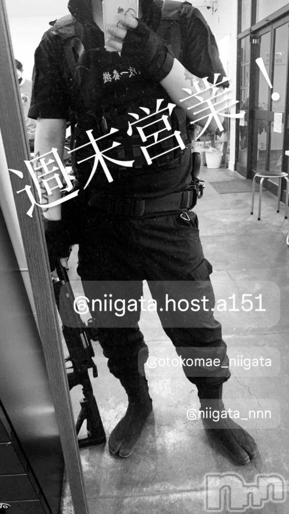 ��Į�ۥ��ȡ��ܡ������С�A151(�����������ݥ���) �褦��6��22���̥�֥�������������