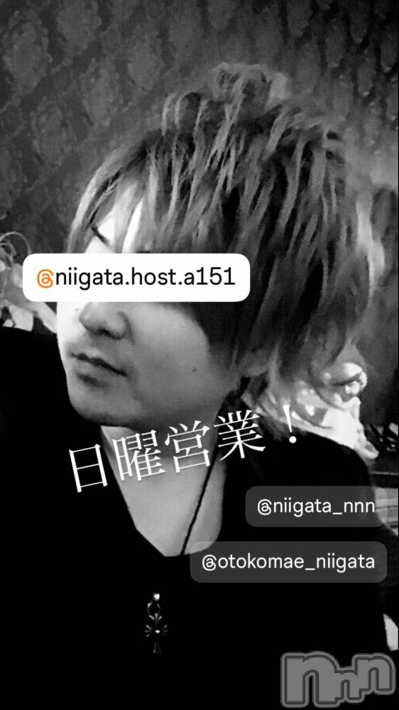 ��Į�ۥ��ȡ��ܡ������С�A151(�����������ݥ���) �褦��6��23���̥�֥�������������