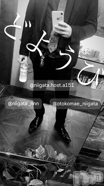 ��Į�ۥ��ȡ��ܡ������С�A151(�����������ݥ���) �褦��6��29���̥�֥�������������