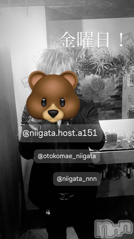 ��Į�ۥ��ȡ��ܡ������С�A151(�����������ݥ���) �褦��7��5���̥�֥����ֶ�������