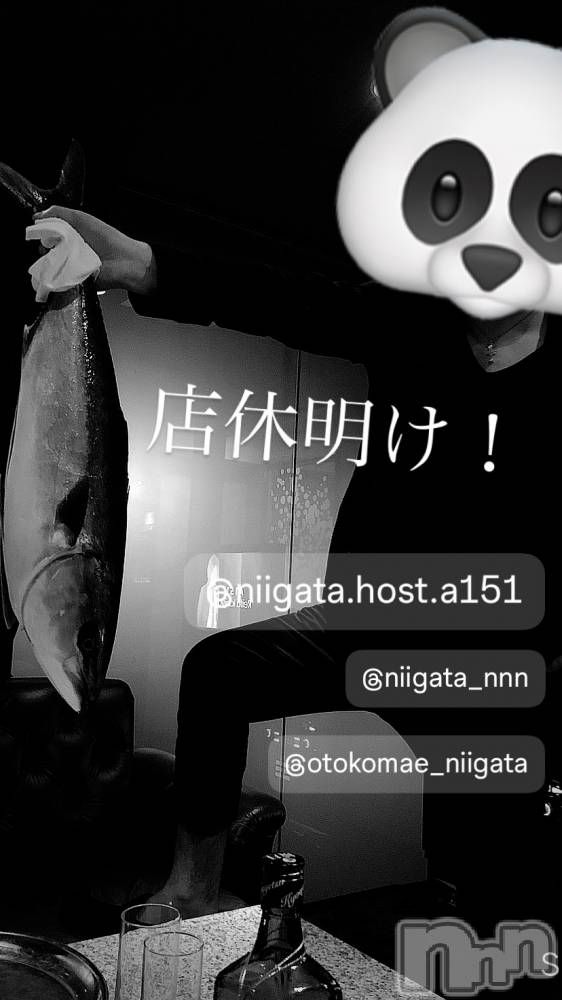 ��Į�ۥ��ȡ��ܡ������С�A151(�����������ݥ���) �褦��7��10���̥�֥����ֿ�������