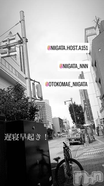 ��Į�ۥ��ȡ��ܡ������С�A151(�����������ݥ���) �褦��7��11���̥�֥�������������