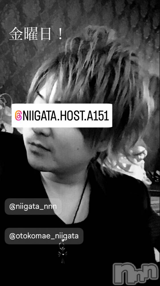 ��Į�ۥ��ȡ��ܡ������С�A151(�����������ݥ���) �褦��7��12���̥�֥����ֶ�������