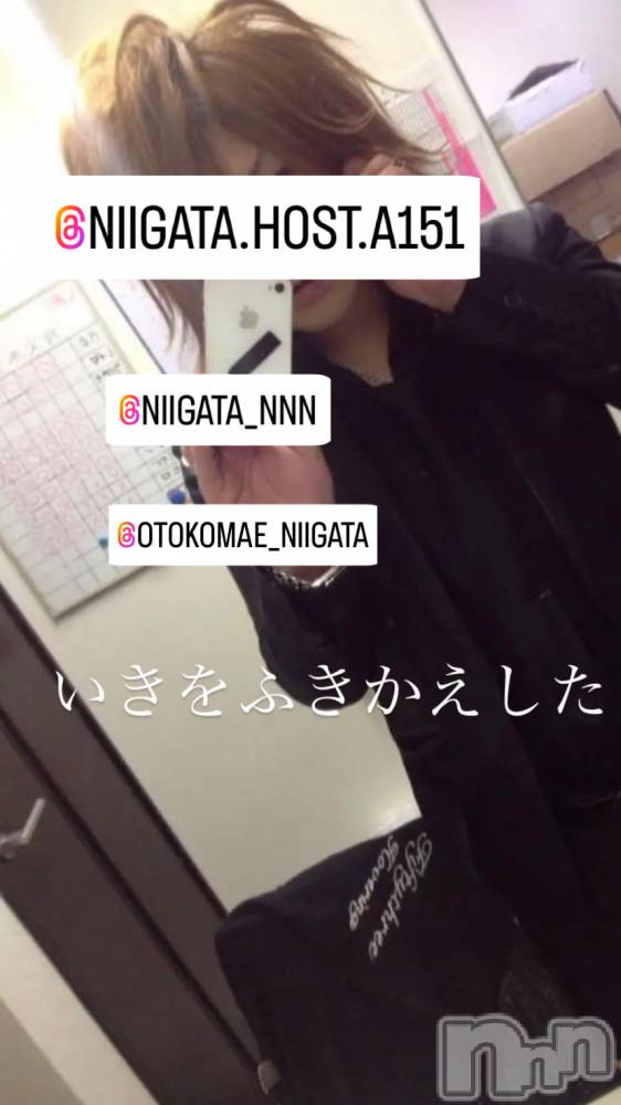 ��Į�ۥ��ȡ��ܡ������С�A151(�����������ݥ���) �褦��7��13���̥�֥�������������