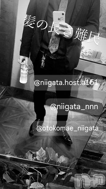 ��Į�ۥ��ȡ��ܡ������С�A151(�����������ݥ���) �褦��7��18���̥�֥�������������