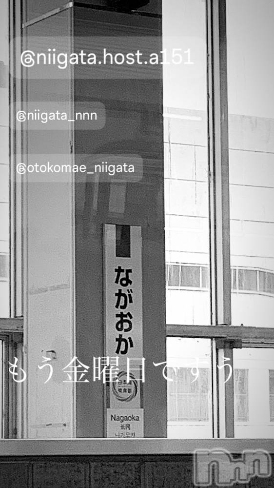 ��Į�ۥ��ȡ��ܡ������С�A151(�����������ݥ���) �褦��7��26���̥�֥����ֶ�������