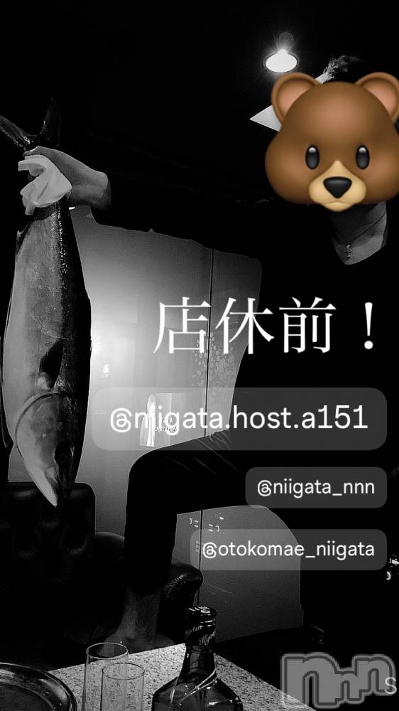 ��Į�ۥ��ȡ��ܡ������С�A151(�����������ݥ���) �褦��7��29���̥�֥����ַ�������