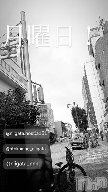 ��Į�ۥ��ȡ��ܡ������С�A151(�����������ݥ���) �褦��8��5���̥�֥����ַ�������