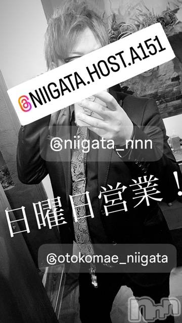 ��Į�ۥ��ȡ��ܡ������С�A151(�����������ݥ���) �褦��8��25���̥�֥�������������