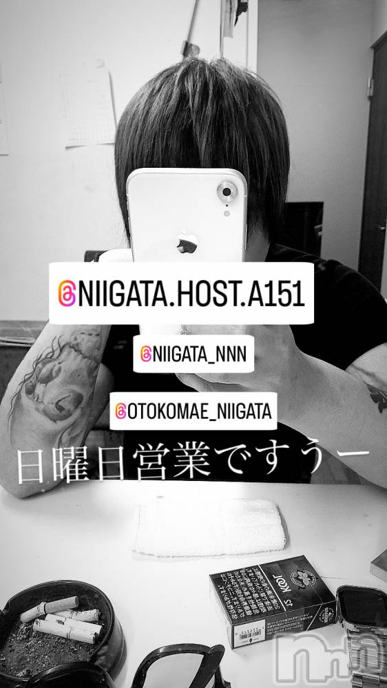 ��Į�ۥ��ȡ��ܡ������С�A151(�����������ݥ���) �褦��9��8���̥�֥�������������