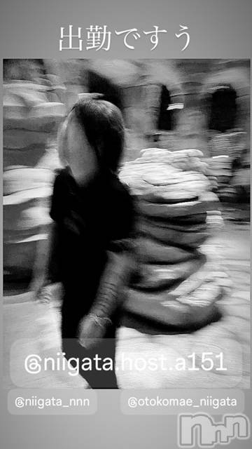 ��Į�ۥ��ȡ��ܡ������С�A151(�����������ݥ���) �褦��9��13���̥�֥����ֶ�������