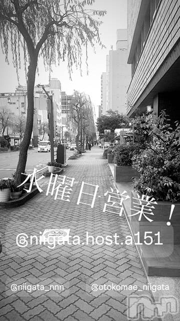 ��Į�ۥ��ȡ��ܡ������С�A151(�����������ݥ���) �褦��9��18���̥�֥����ֿ�������