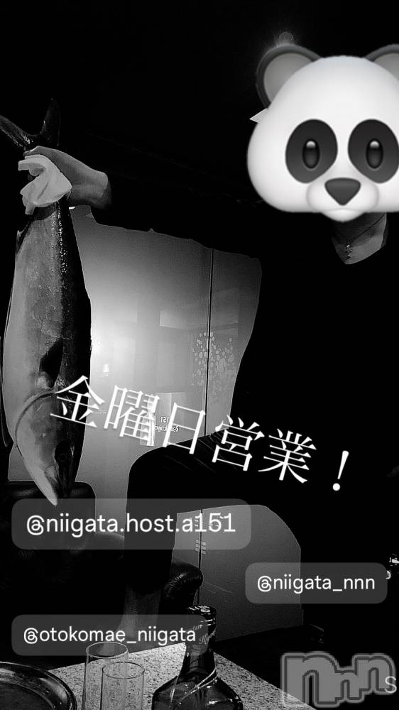 ��Į�ۥ��ȡ��ܡ������С�A151(�����������ݥ���) �褦��9��27���̥�֥����ֶ�������