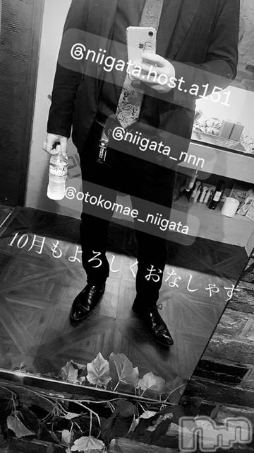 ��Į�ۥ��ȡ��ܡ������С�A151(�����������ݥ���) �褦��10��2���̥�֥����ֿ�������