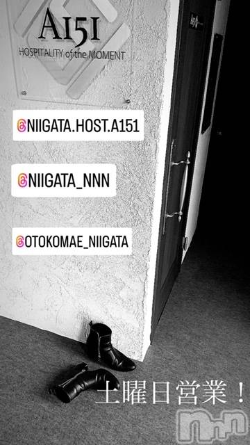 ��Į�ۥ��ȡ��ܡ������С�A151(�����������ݥ���) �褦��10��5���̥�֥�������������