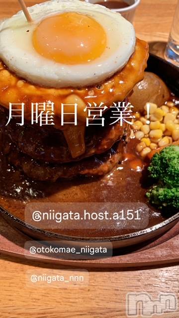 ��Į�ۥ��ȡ��ܡ������С�A151(�����������ݥ���) �褦��10��7���̥�֥����ַ�������