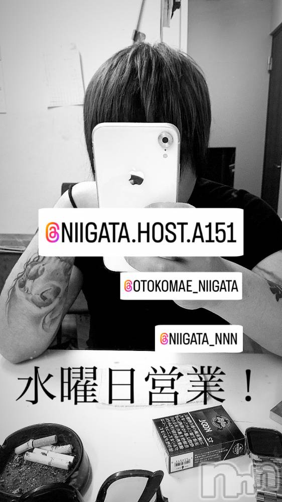 ��Į�ۥ��ȡ��ܡ������С�A151(�����������ݥ���) �褦��10��9���̥�֥����ֿ�������