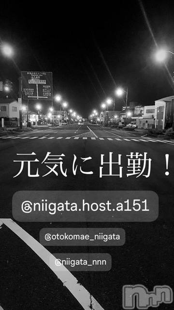 ��Į�ۥ��ȡ��ܡ������С�A151(�����������ݥ���) �褦��10��10���̥�֥�������������