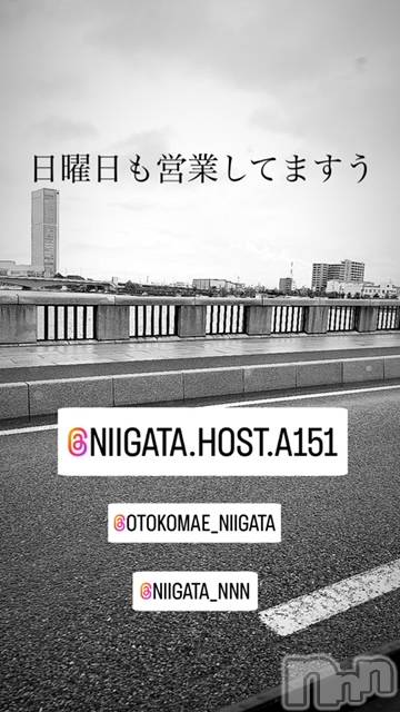 ��Į�ۥ��ȡ��ܡ������С�A151(�����������ݥ���) �褦��10��13���̥�֥�������������