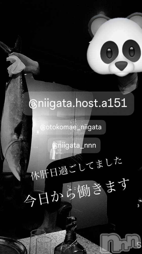 ��Į�ۥ��ȡ��ܡ������С�A151(�����������ݥ���) �褦��10��16���̥�֥����ֿ�������