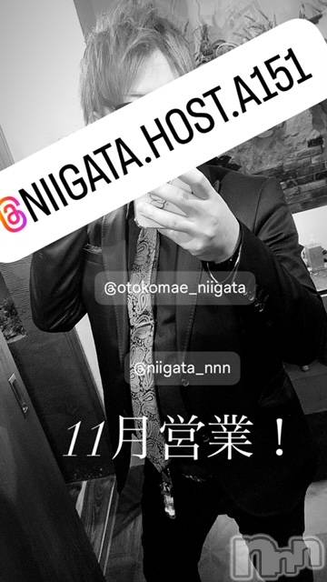 ��Į�ۥ��ȡ��ܡ������С�A151(�����������ݥ���) �褦��11��2���̥�֥�������������