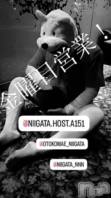 ��Į�ۥ��ȡ��ܡ������С�A151(�����������ݥ���) �褦��11��8���̥�֥����ֶ�������