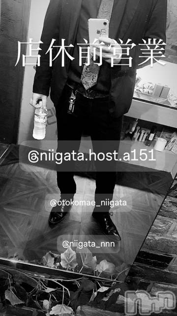 ��Į�ۥ��ȡ��ܡ������С�A151(�����������ݥ���) �褦��11��11���̥�֥����ַ�������