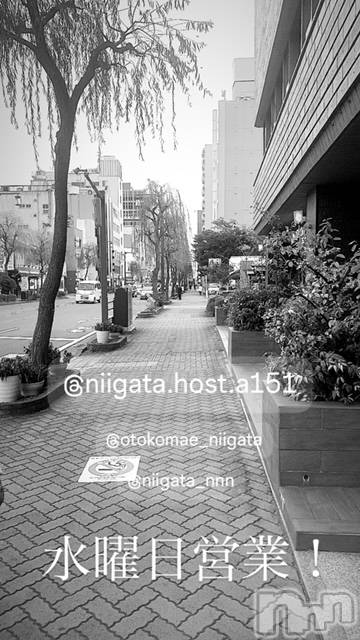 ��Į�ۥ��ȡ��ܡ������С�A151(�����������ݥ���) �褦��11��13���̥�֥����ֿ�������