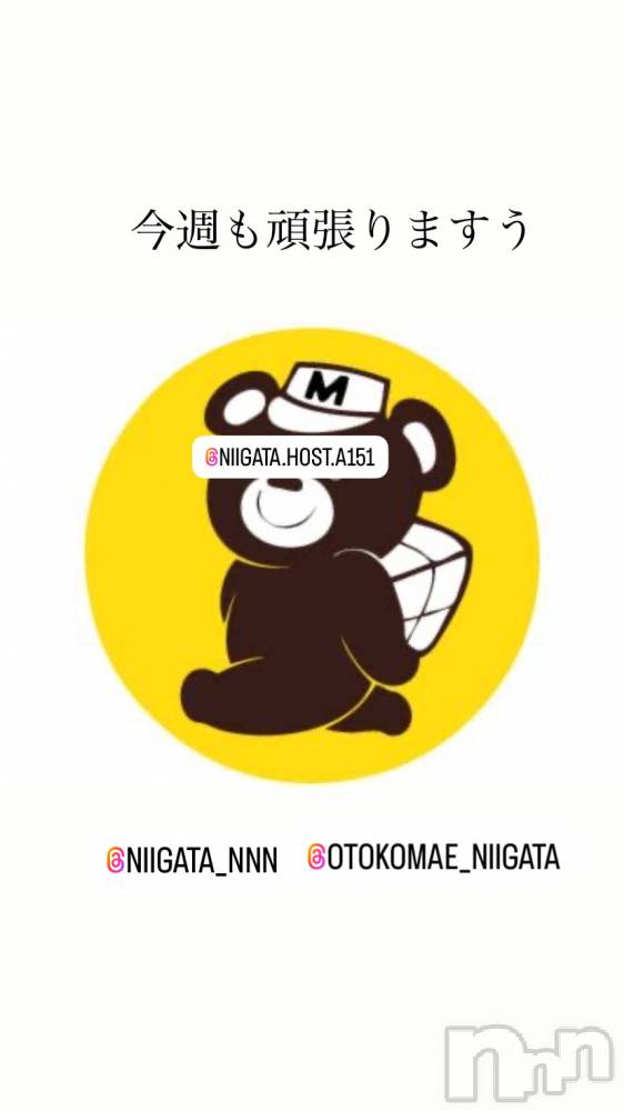 ��Į�ۥ��ȡ��ܡ������С�A151(�����������ݥ���) �褦��11��27���̥�֥����ֿ�������